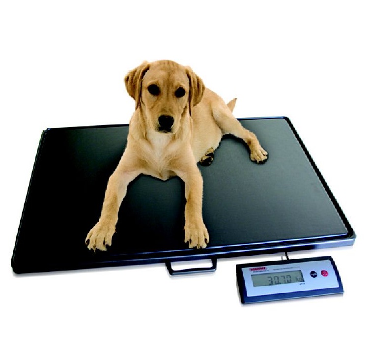 Veterinární  váhy SOEHNLE Professional 7759