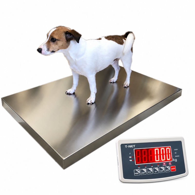 Veterinární váha na psy BP 200, 200 kg / 50 g, 600 × 900 mm, HOLD